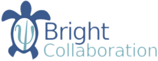 Bright Collaboration